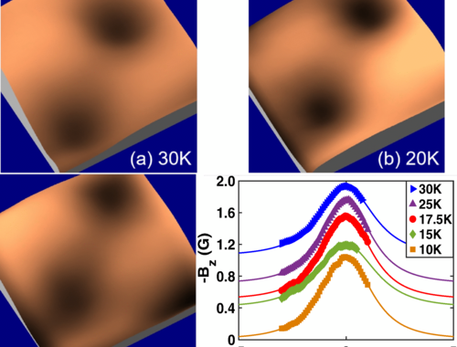 Observing The Suppression Of Superconductivity In RbEuFe4As4 By Correlated Magnetic Fluctuations